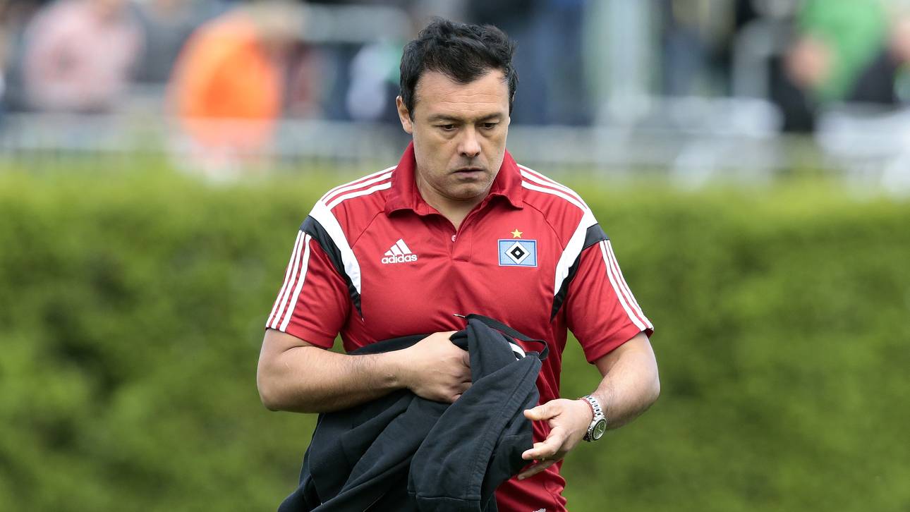 HSV holt neuen Co-Trainer