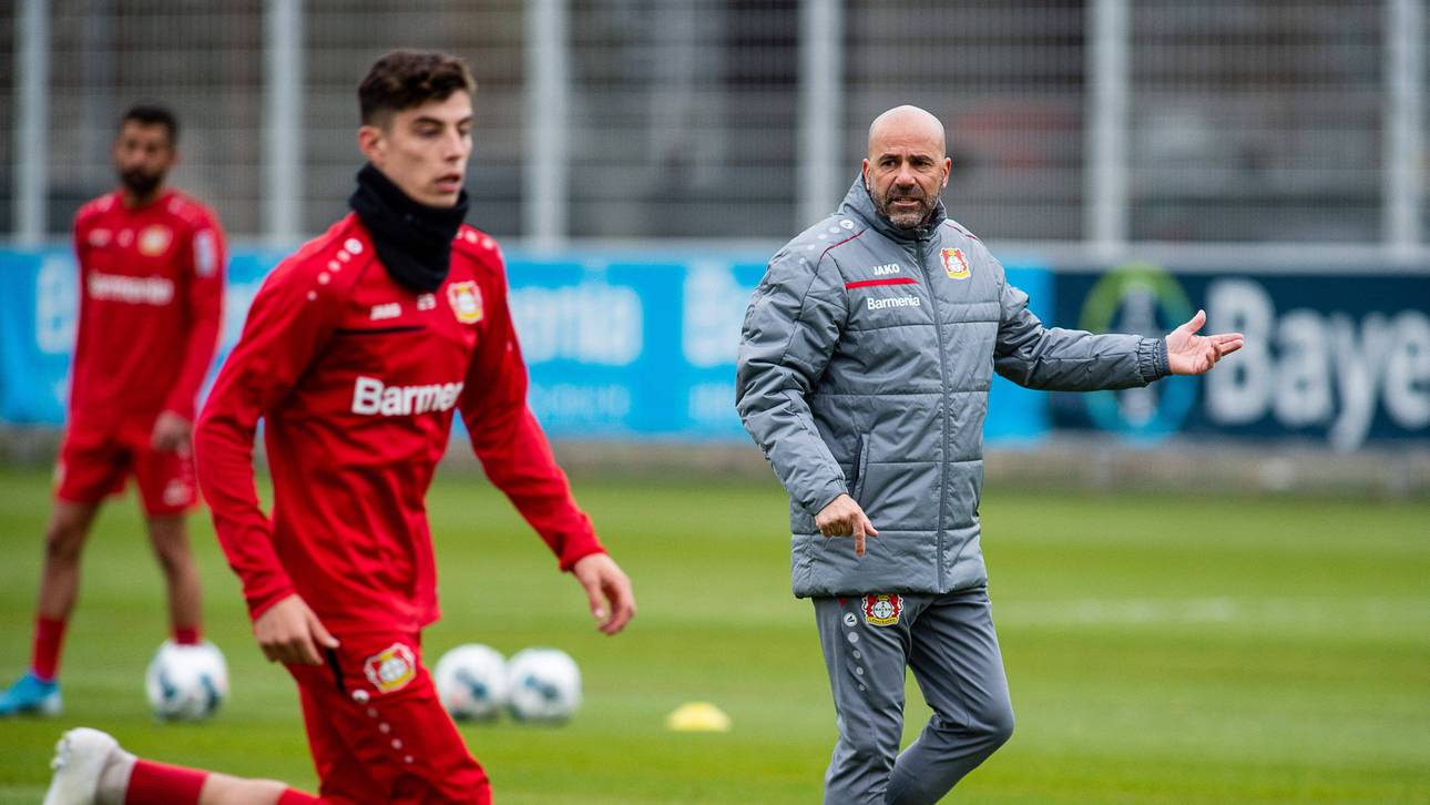 Zu Bayern? Bosz schreibt Havertz ab