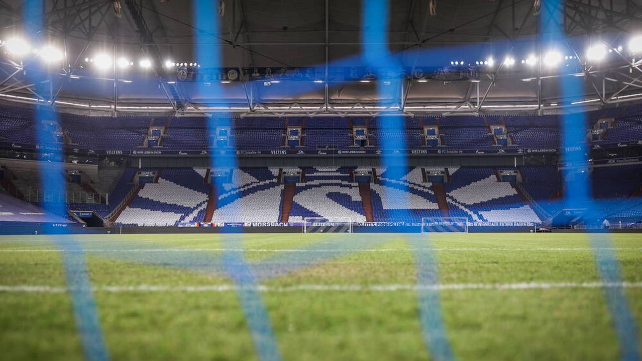 Jetzt spricht die Rangnick-Gruppe