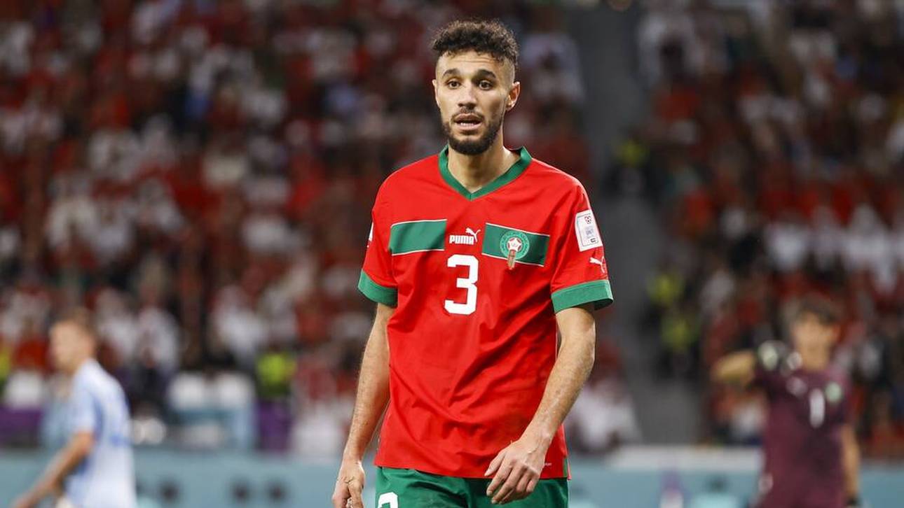 Das müssen Sie zum Afrika-Cup wissen