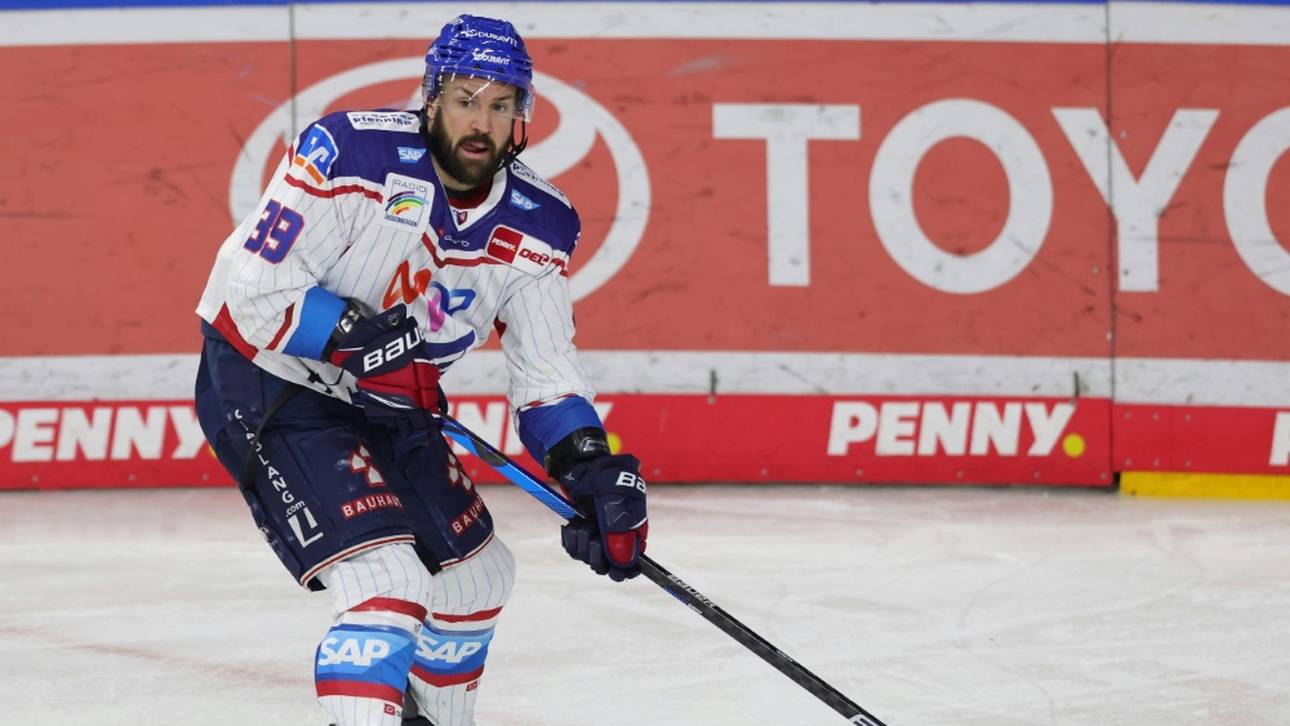 Haie holen Routinier zurück