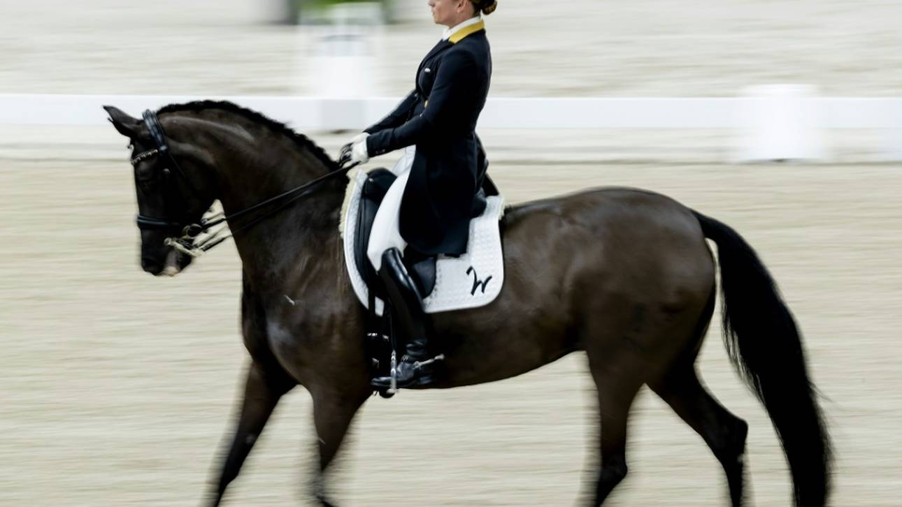 Werth gewinnt Dressur-Grand-Prix in Salzburg