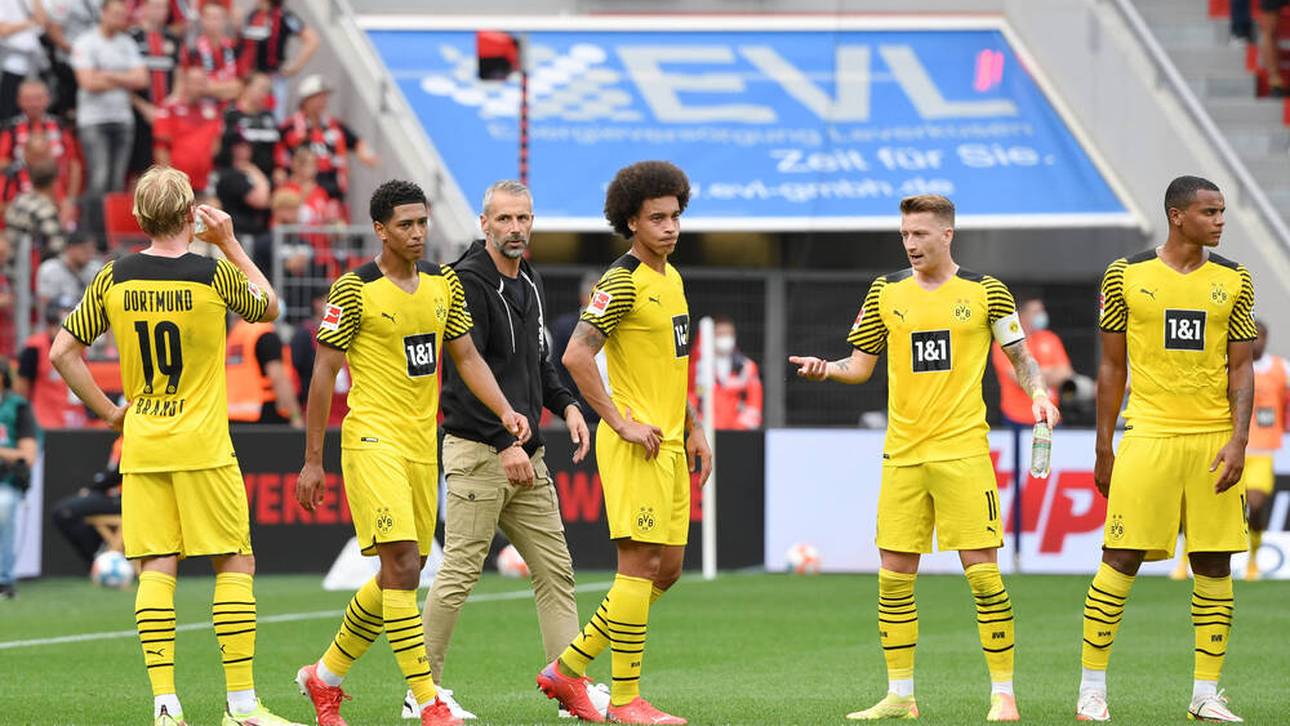 „Musst schon ein dickes Fell haben“