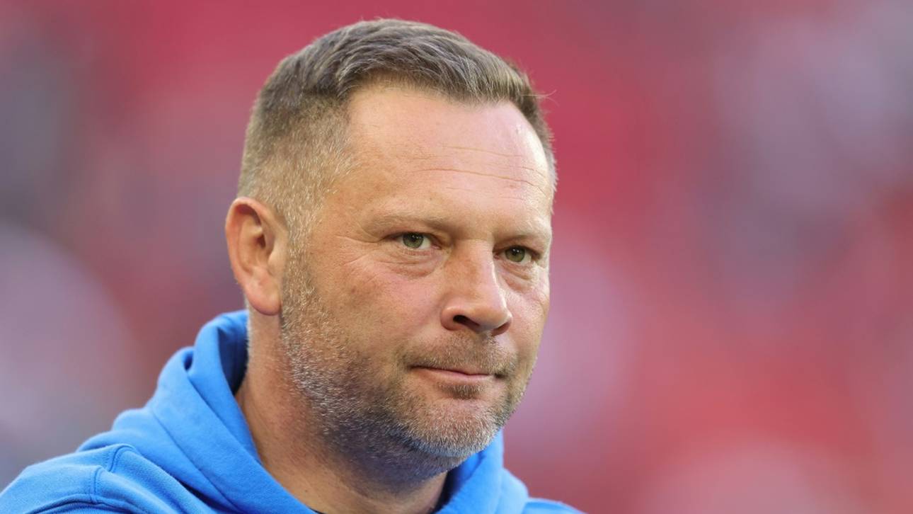 Dardai zu Hertha-Stars: Lauft mal!