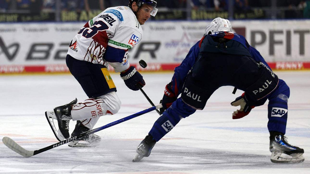 Eisbären untermauern Ambitionen