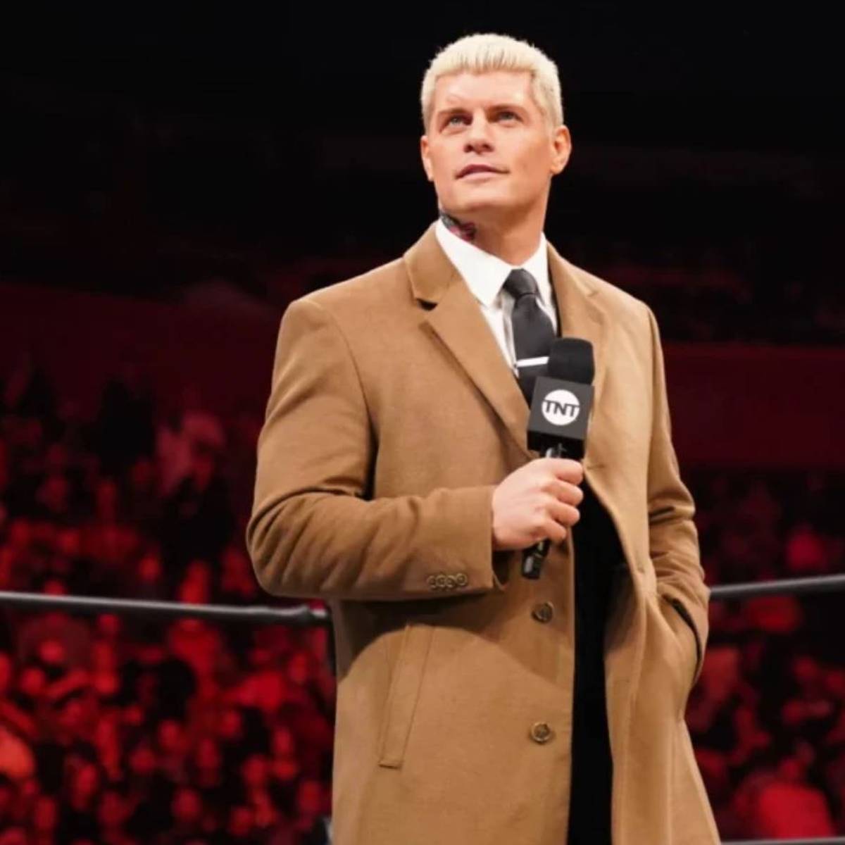 Cody Rhodes, Mitgründer von AEW und amtierender TNT-Champion soll aktuell ohne Vertrag für den WWE-Rivalen antreten - was einige Fragen aufwirft.