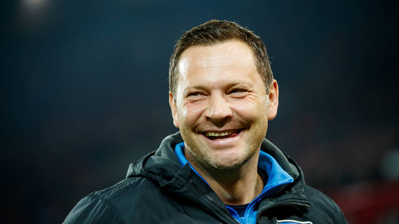 Cheftrainer? Dardai wollte nicht