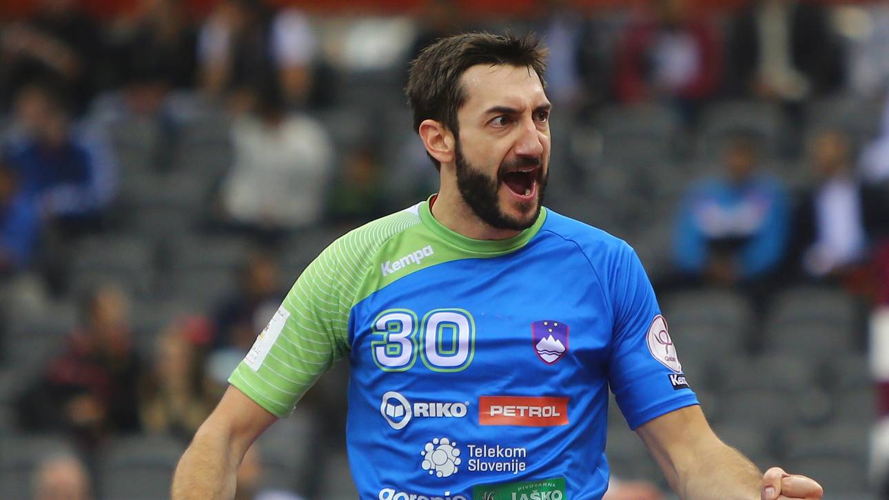 HANDBALL-WM-Dragan Gajic