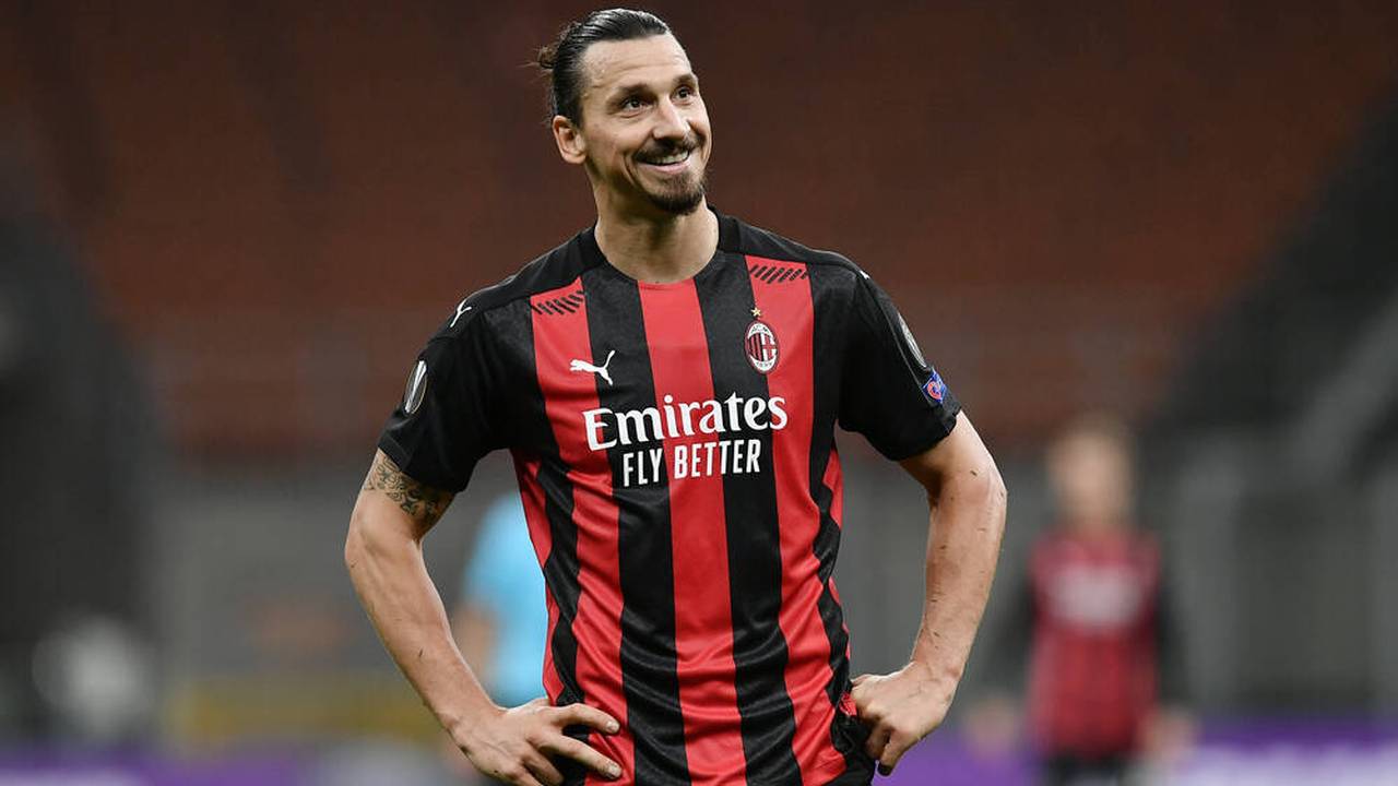 Zlatan Ibrahimovic kauft sich Wald zu Weihnachten