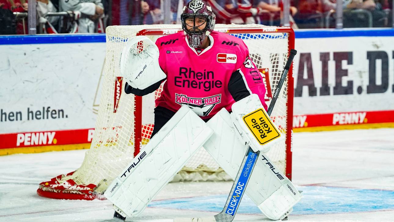 Perfekter Start für neuen Haie-Goalie