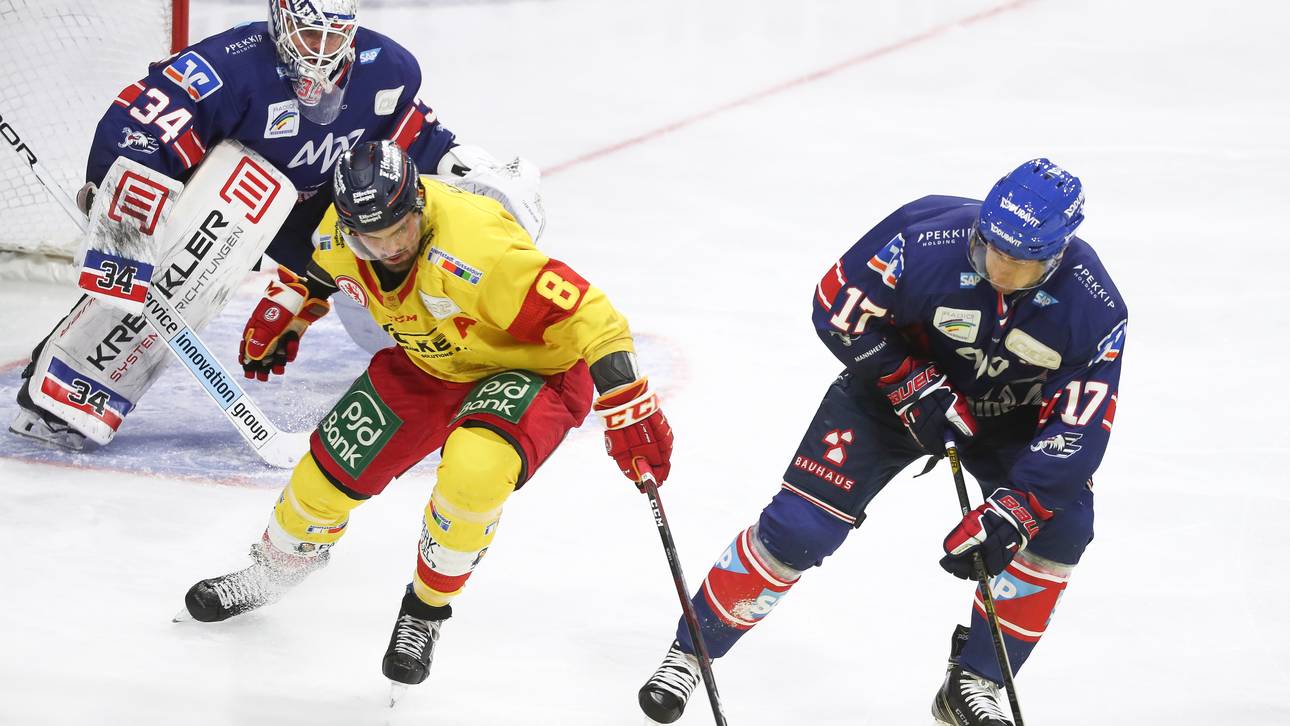 DEG setzt weiterhin auf Nowak