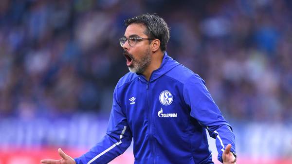 David Wagner ist seit dieser Saison Trainer von Schalke 04