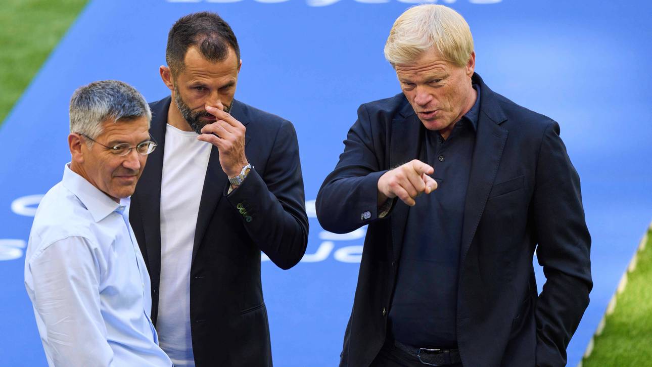 „FC Bayern ist erneuerbare Energie“