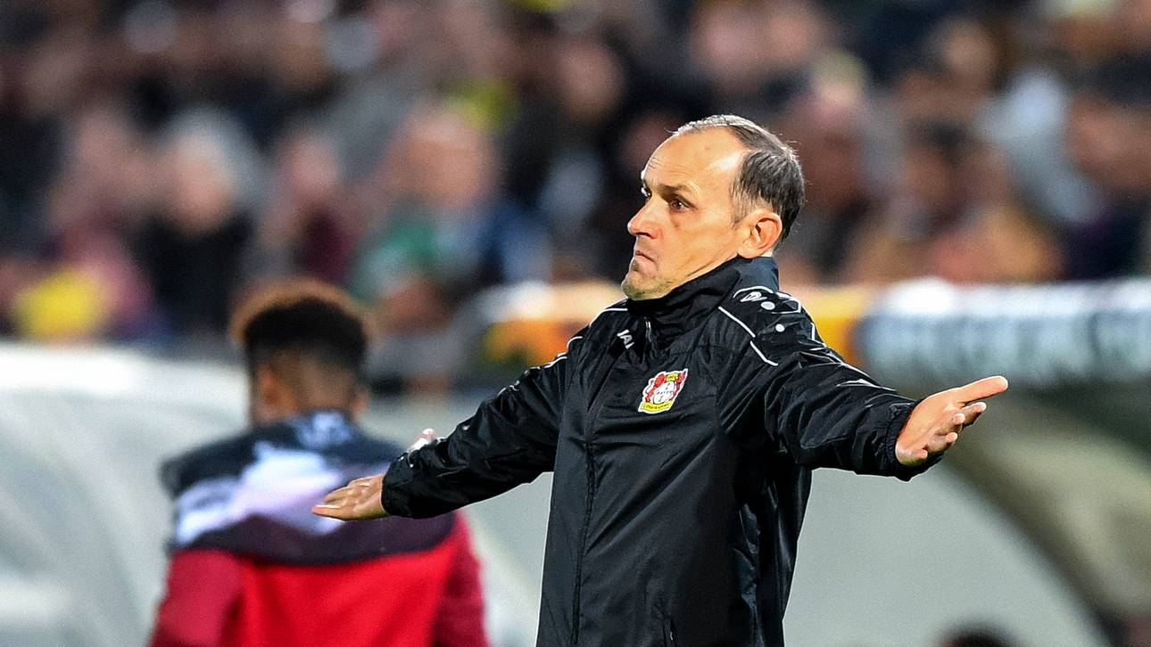 Bayer setzt auf Bender-Zwillinge