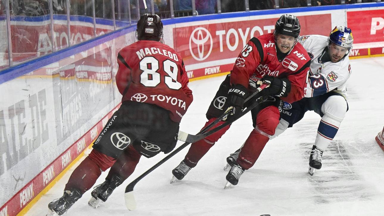 Haie verlängern mit Duo