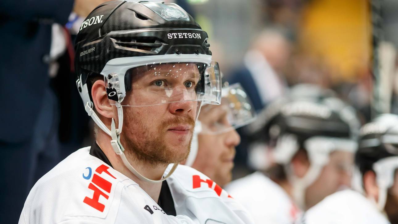 Bei Haien liegen die Nerven blank