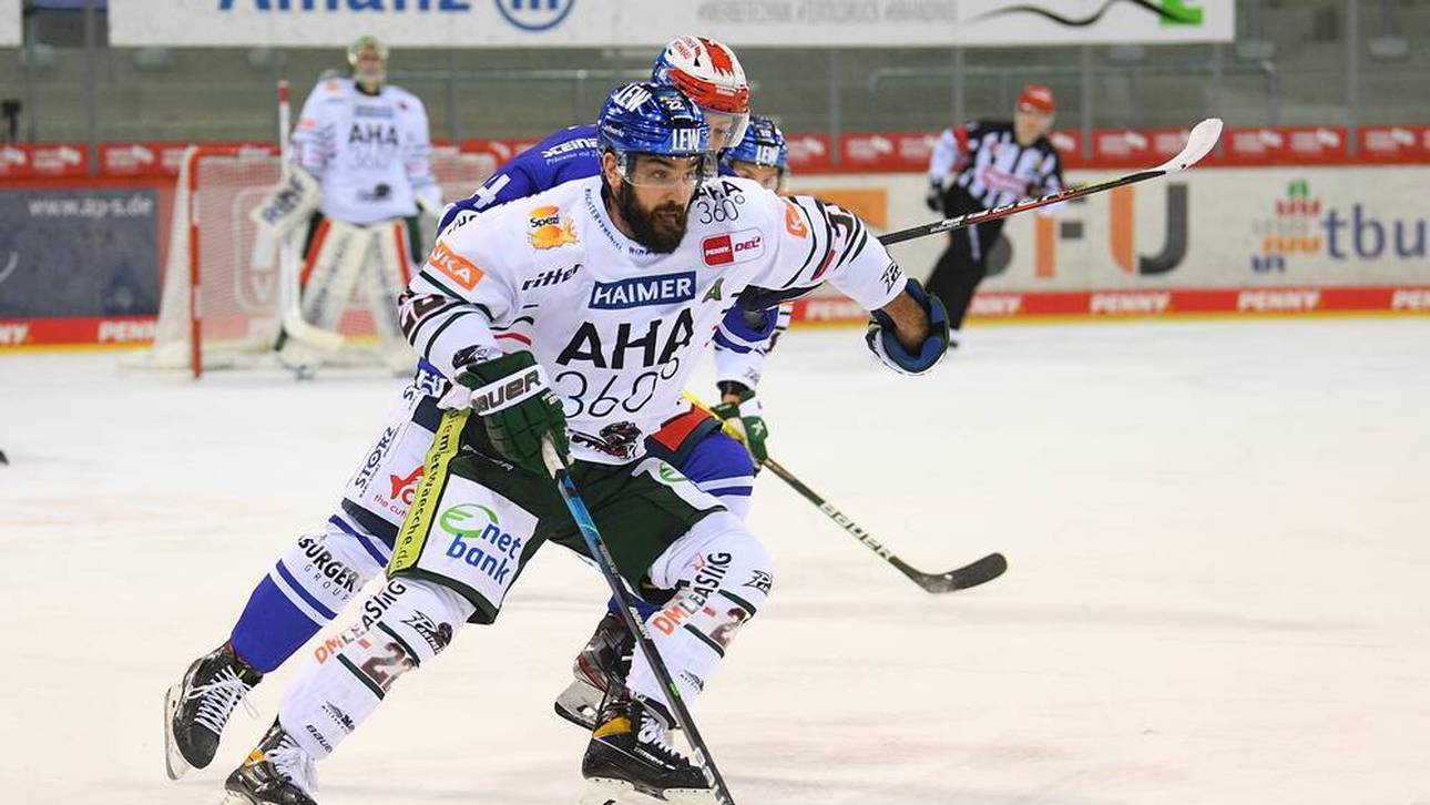 DEL live: Wild Wings fordern Panther