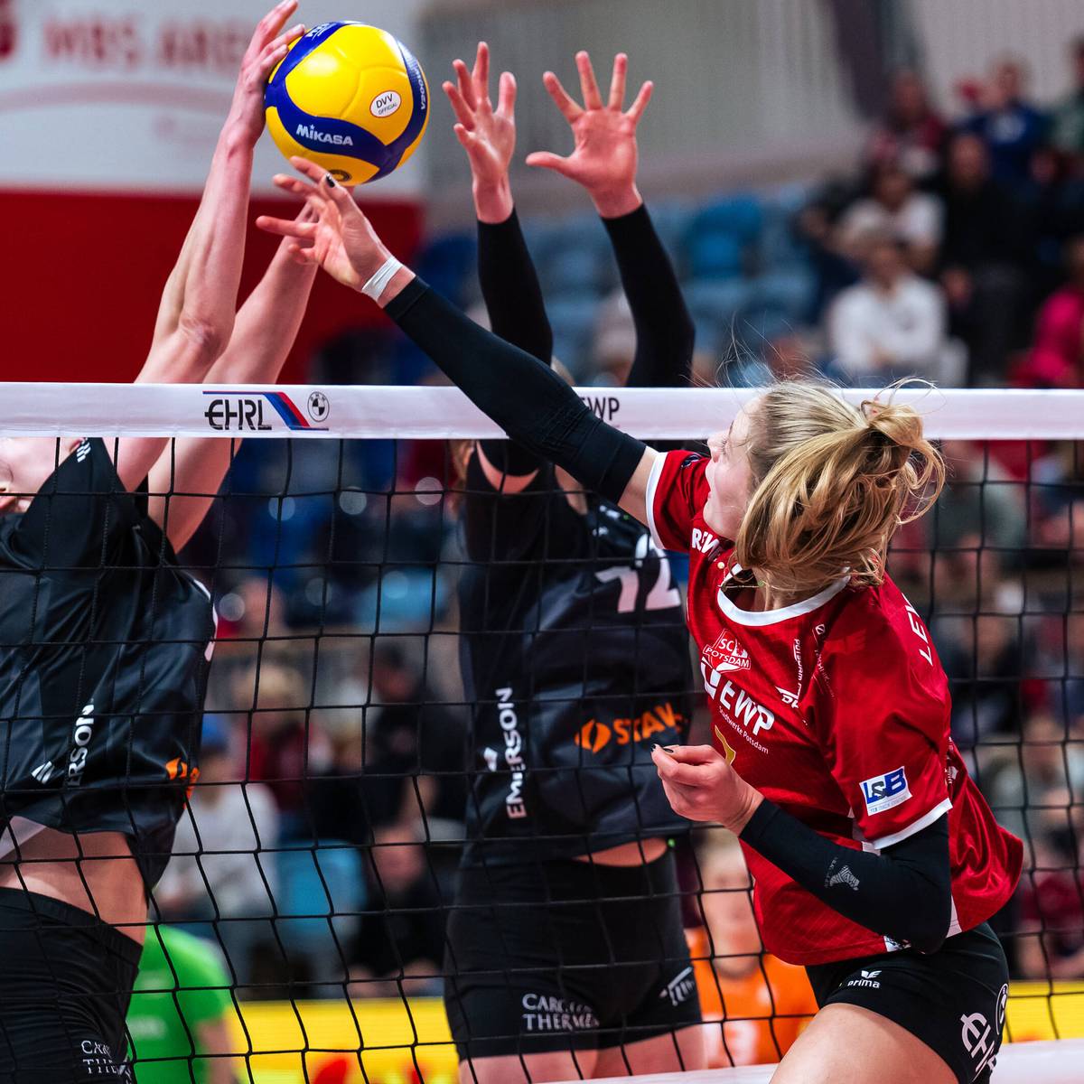 Volleyball DVV-Pokalhalbfinals der Frauen LIVE auf SPORT1 im TV, Stream und Ticker