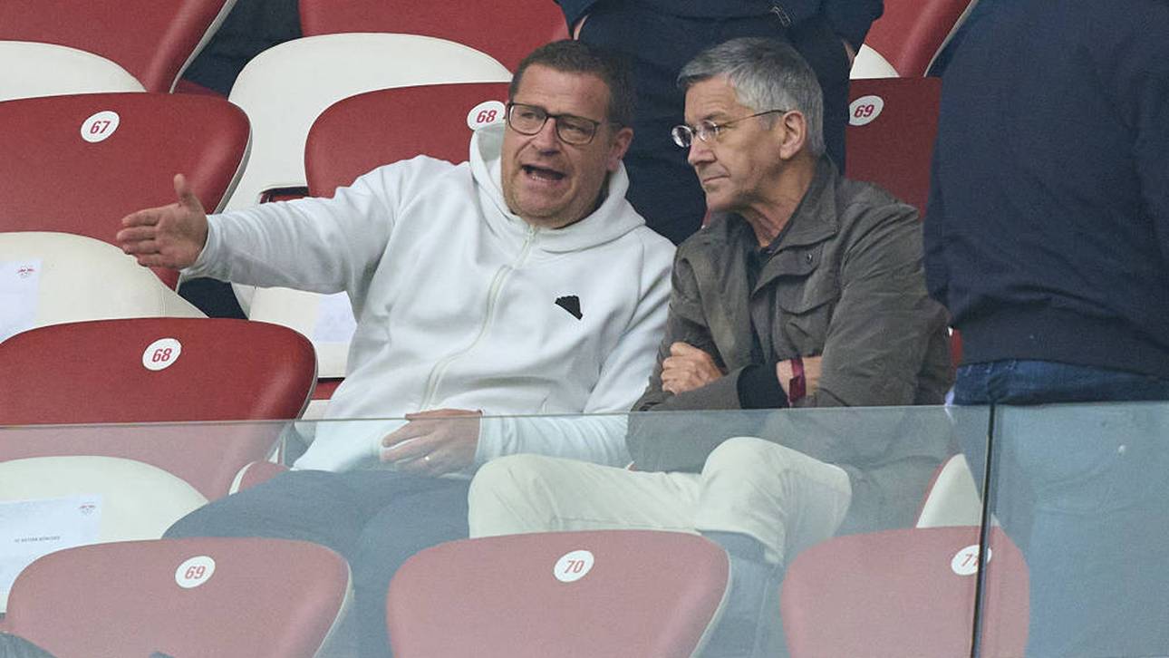 Bayern bestätigt Wirtz-Hammer!