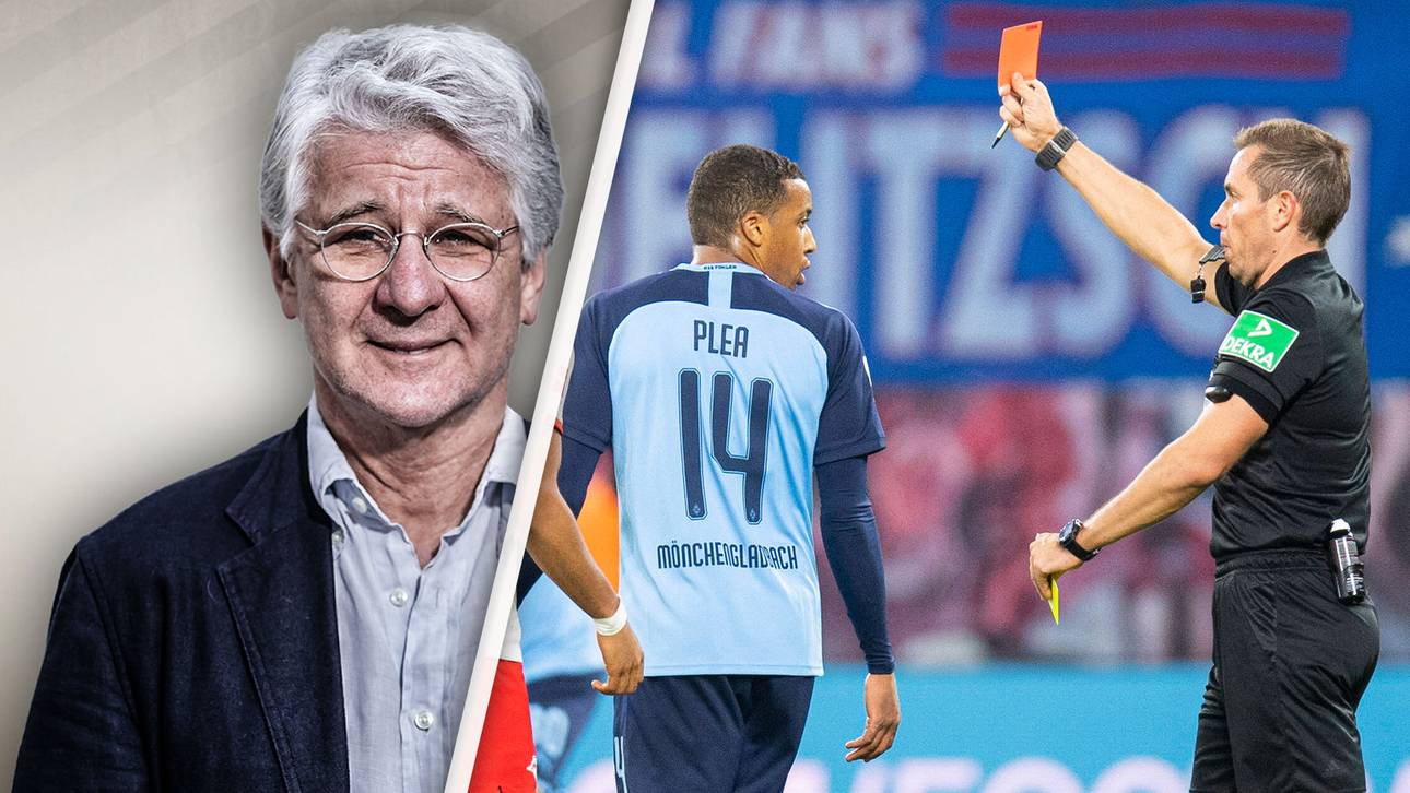 Reif: Pléa war absolut respektlos