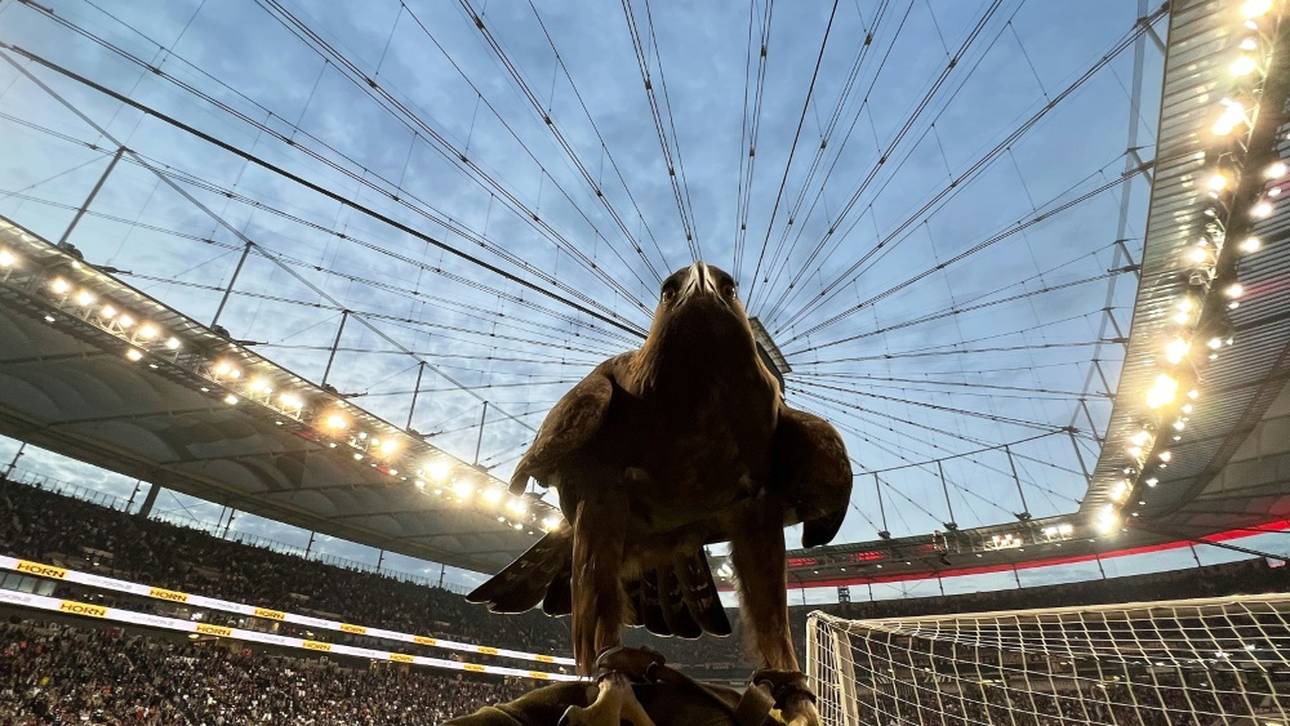 Frankfurt-Talent erhält Profivertrag