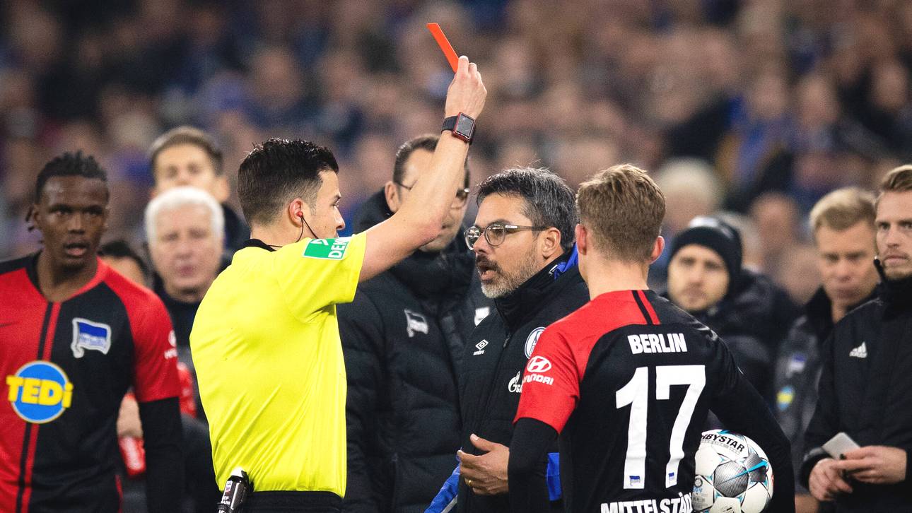 Antworten zu Wagners Roter Karte