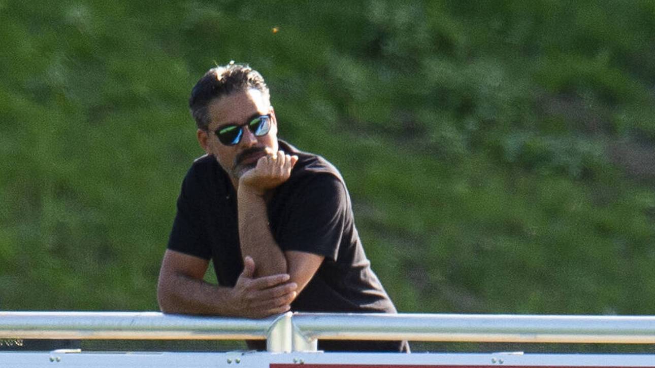 Schalke-Fan hofft auf Wagner-Aus