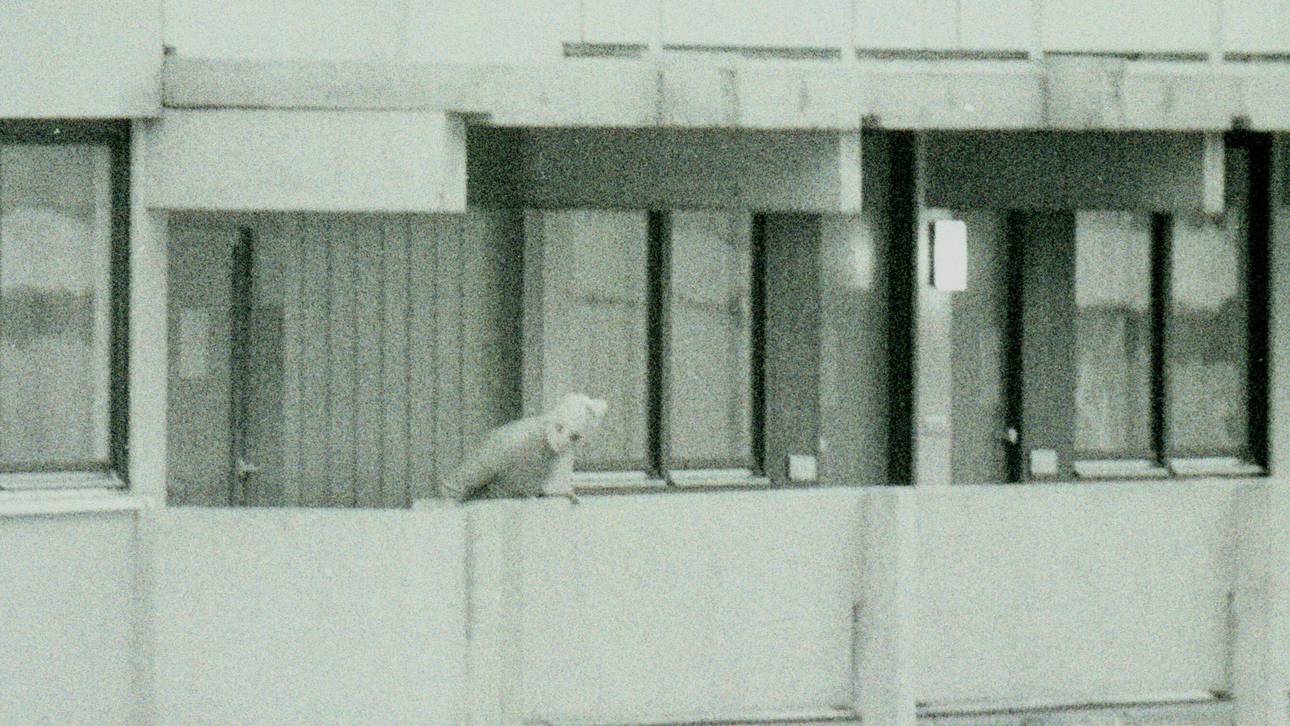 Als der Olympia-Zauber zerstört wurde