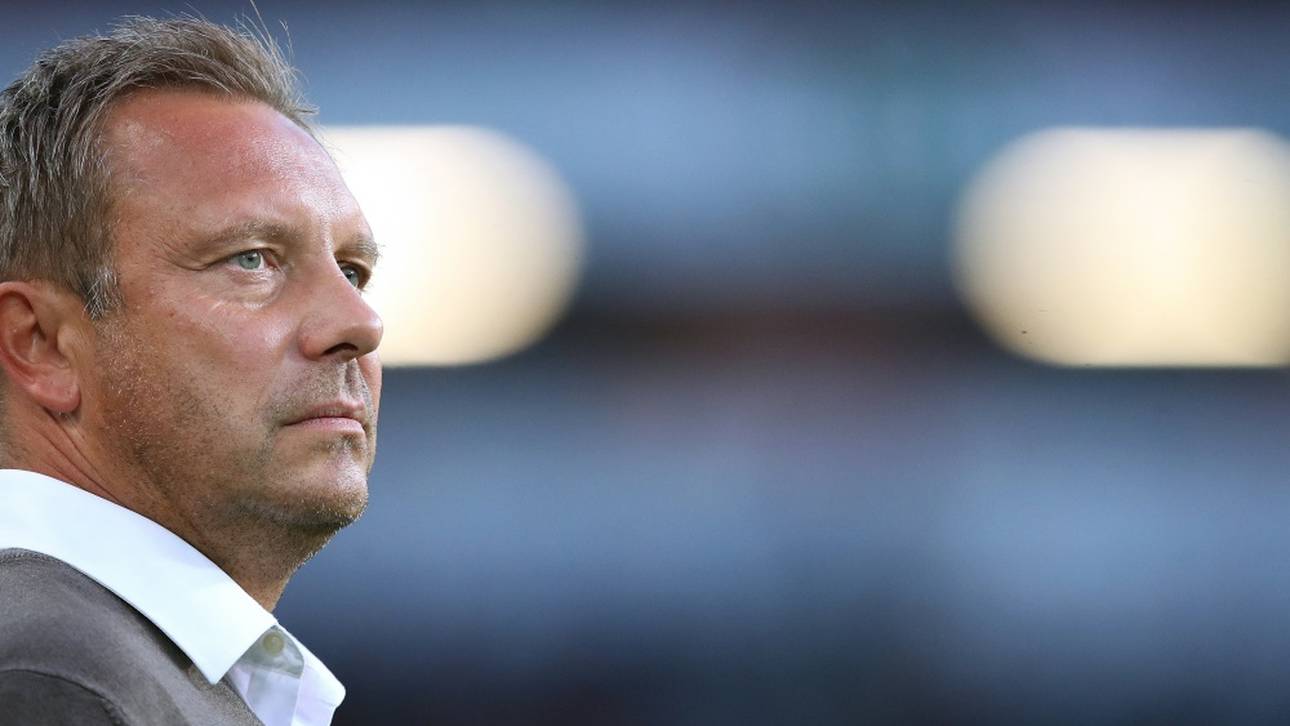 TSG präsentiert Breitenreiter am Freitag