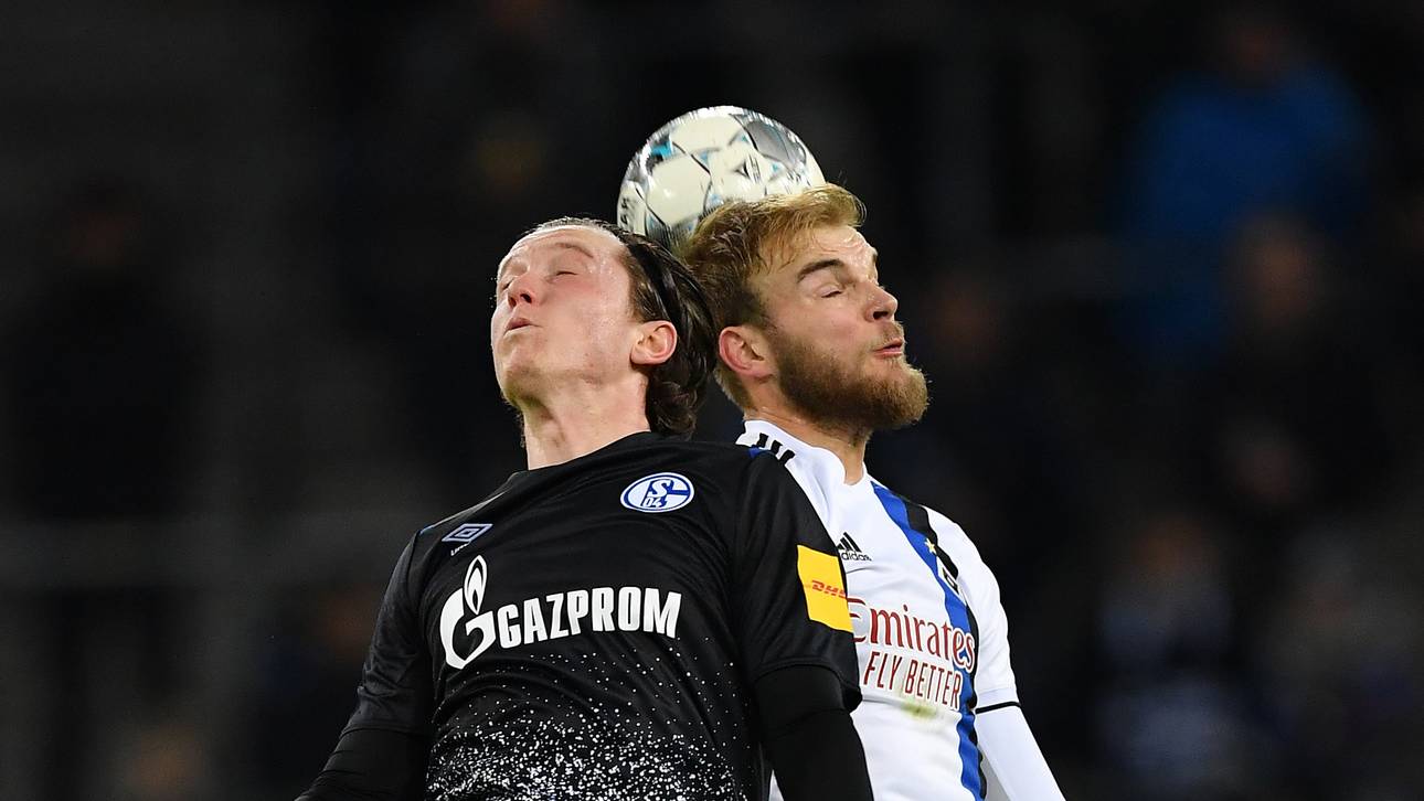 Schalke zerlegt den HSV