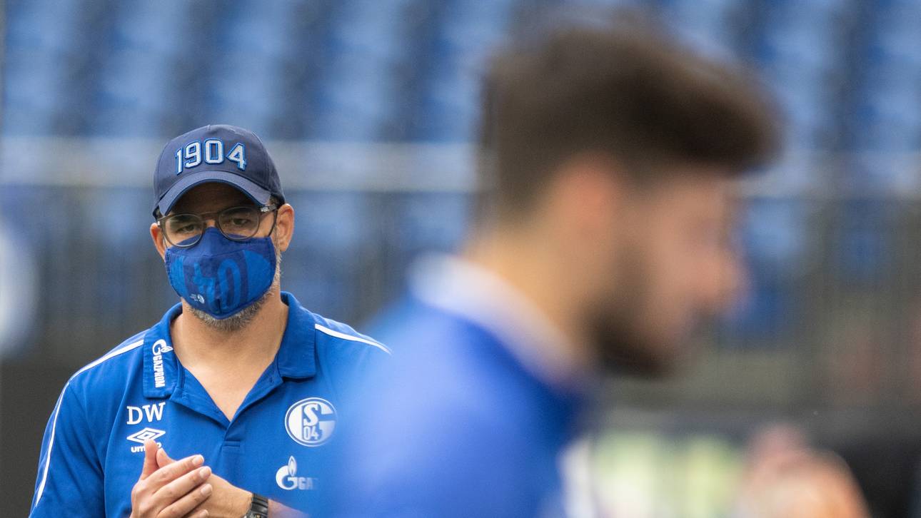 Die Gründe für Schalkes Misere