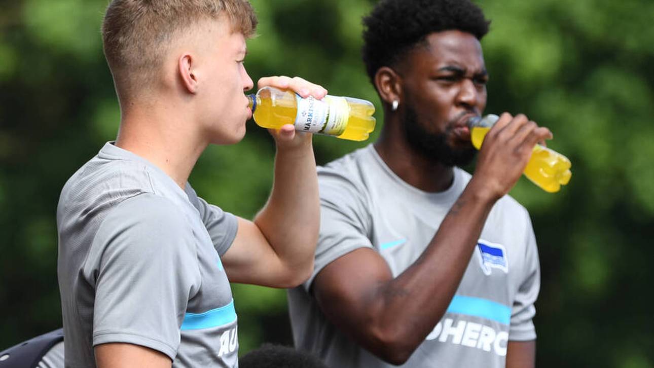 Fix! Gladbach holt Hertha-Juwel