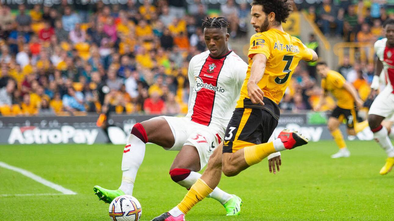 Armel Bella Kotchap hat sich schnell in der Premier League etabliert