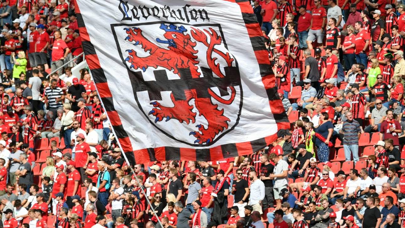 Das halten die Fans von 50+1