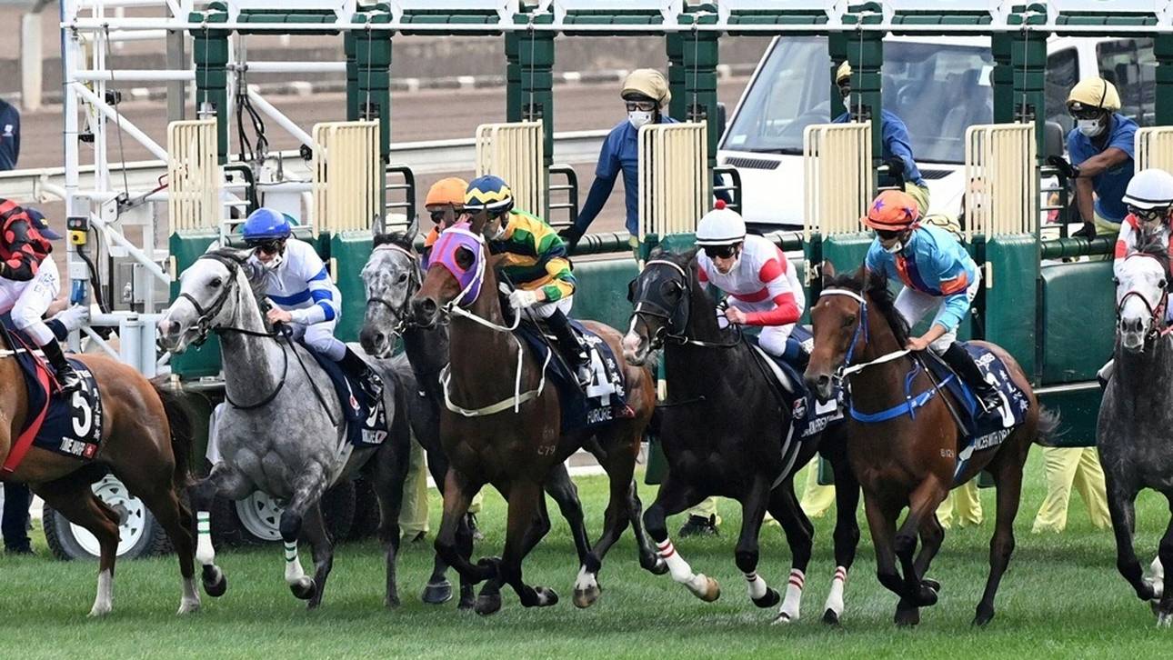 Jockey-Skandal: Ritt auf totem Pferd