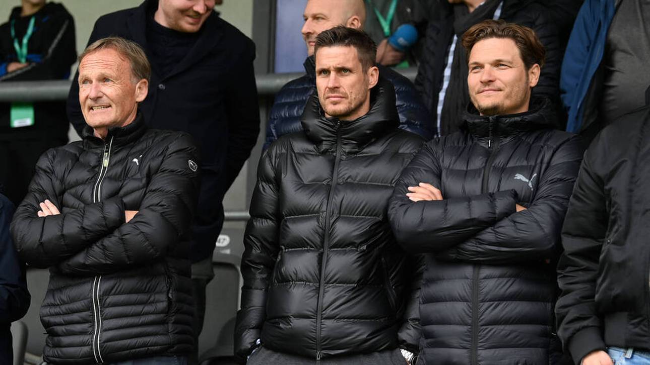 Watzke spricht über Rose-Aus