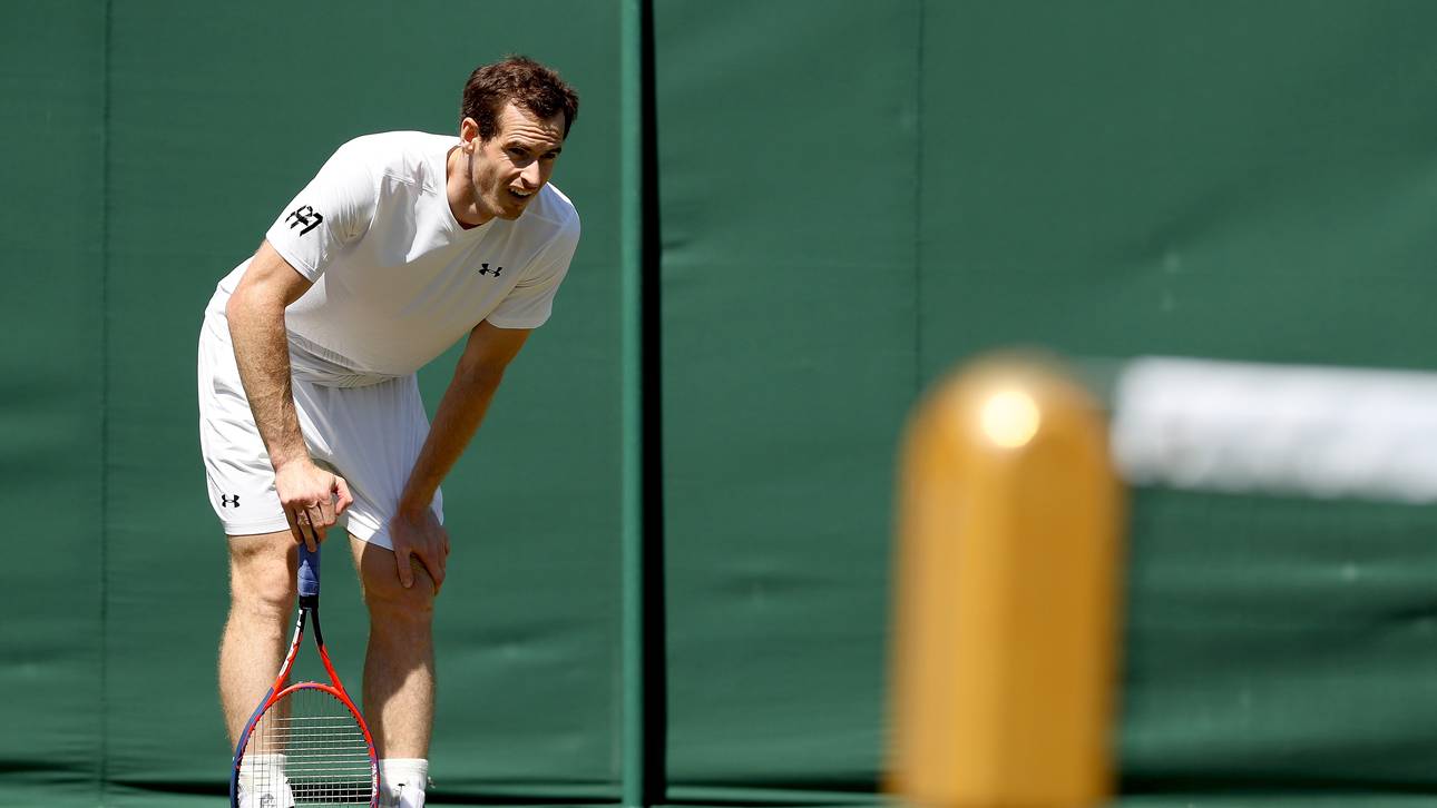 Murray sagt Wimbledon ab