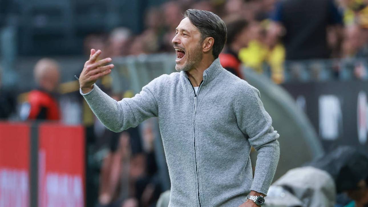 BVB-Transfer: „Haben Eisen im Feuer“