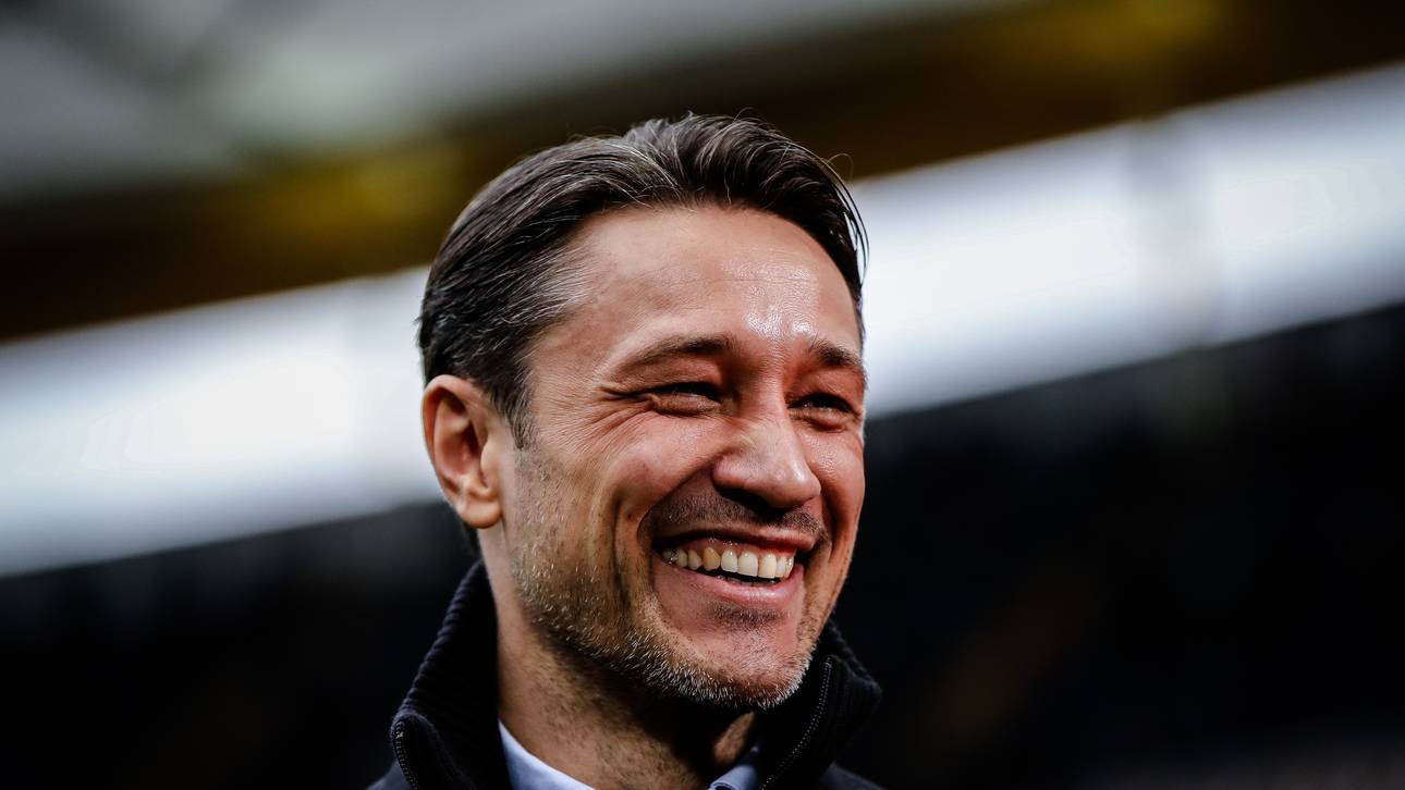 Eintracht Frankfurt v FC Ingolstadt 04 - Bundesliga