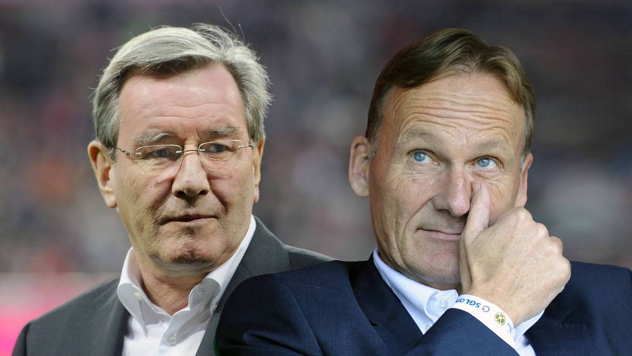 Kein Ende der Eiszeit in Sicht