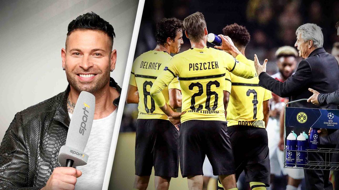 Wiese: Favres Rotation ist komisch