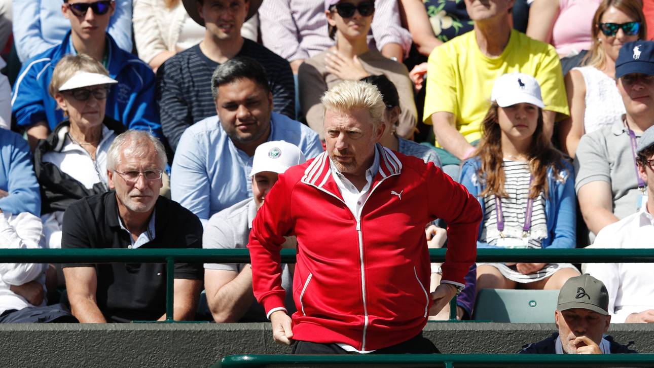 Becker versteht Kerber-Kritik nicht