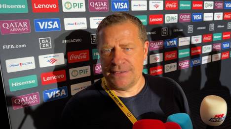 Das Interesse des FC Bayern an Stuttgarts Senkrechtstarter Nick Woltemade beherrscht seit Tagen die Schlagzeilen. FCB-Ehrenpräsident Uli Hoeneß deswegen deutliche Worte für Experte Lothar Matthäus. Auch Max Eberl bezieht Stellung.