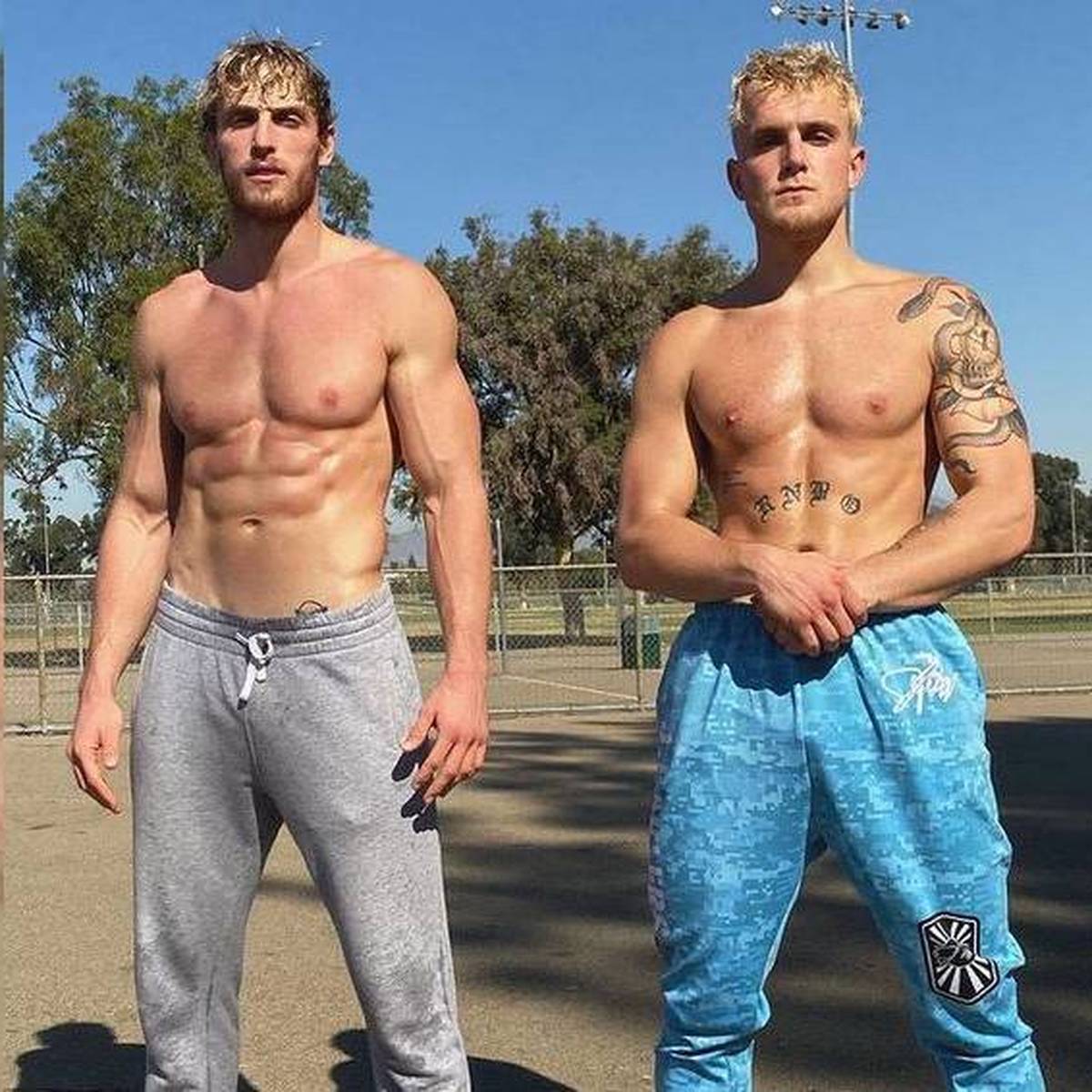 Logan und Jake Paul: Warum die YouTube-Boxer umstritten sind