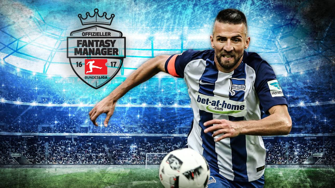 Ibisevic kämpft sich nach vorne