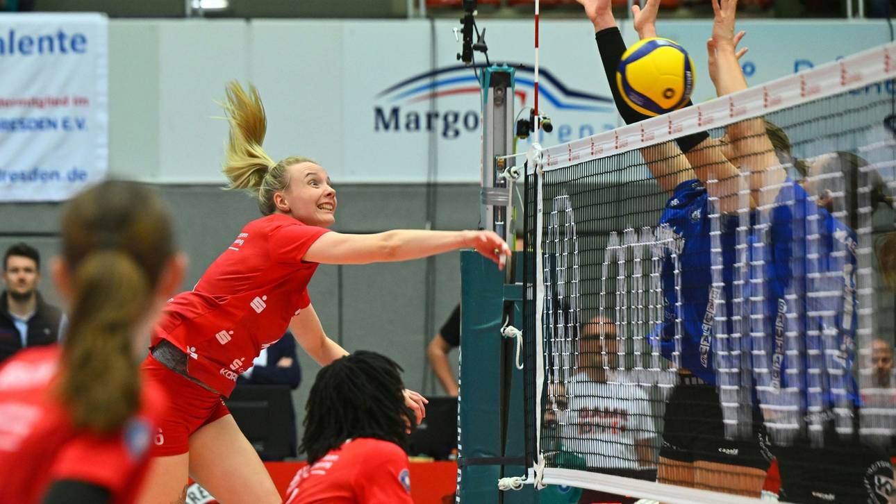 Volleyball: Dresdner SC im Halbfinale