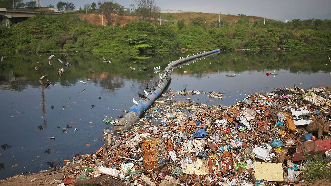 13 US-Ruderer erkranken in Rio
