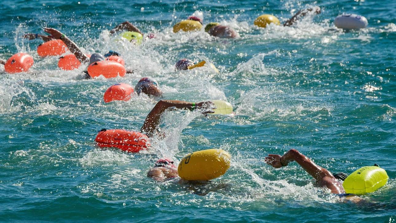 Deutsche Schwimmer schreiben Geschichte