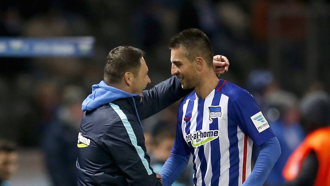 Dardai baut auf Stürmer Ibisevic