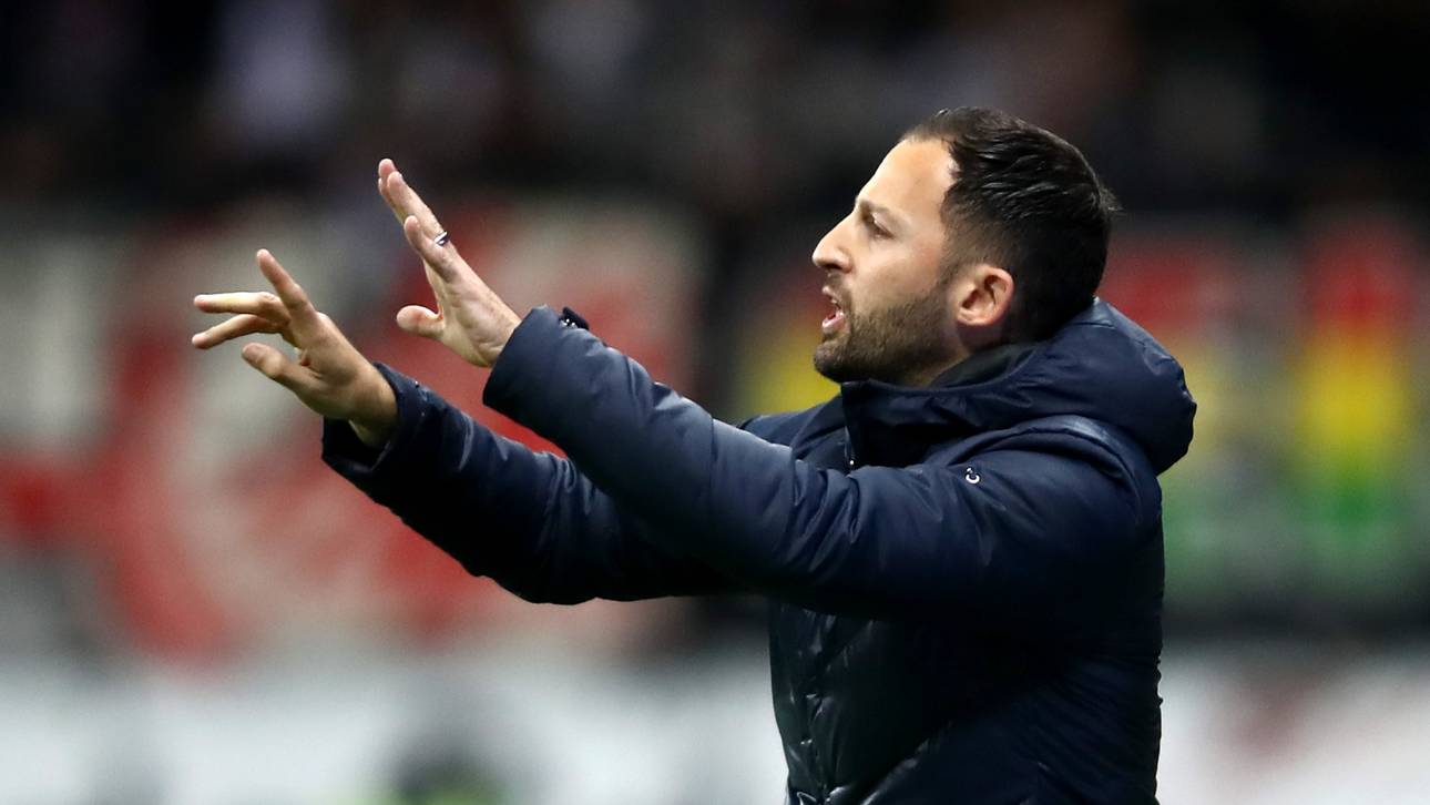 Tedesco über Schalke-Abstiegskampf